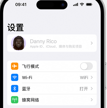 龙潭appleID维修服务iPhone设置中Apple ID显示为灰色无法使用 