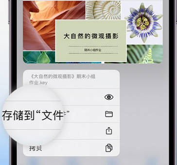 龙潭apple维修中心分享iPhone文件应用中存储和找到下载文件