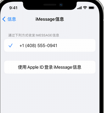 龙潭apple维修iPhone上无法正常发送iMessage信息 