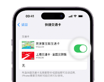 龙潭apple维修点分享iPhone上更换Apple Pay快捷交通卡手绘卡面 