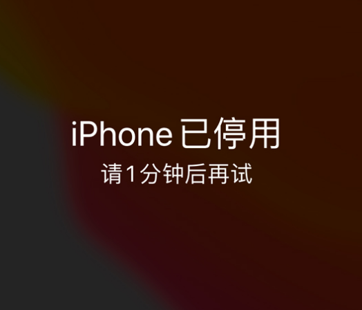 龙潭苹果手机维修分享:iPhone 显示“不可用”或“已停用”怎么办？还能保留数据吗？ 