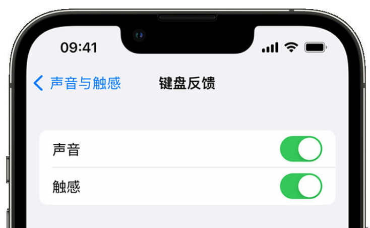 龙潭苹果手机维修分享iPhone 14触感键盘使用方法 