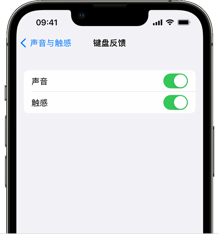 龙潭苹果14维修店分享如何在 iPhone 14 机型中使用触感键盘 