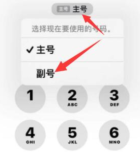 龙潭苹果14维修店分享iPhone 14 Pro Max使用副卡打电话的方法 