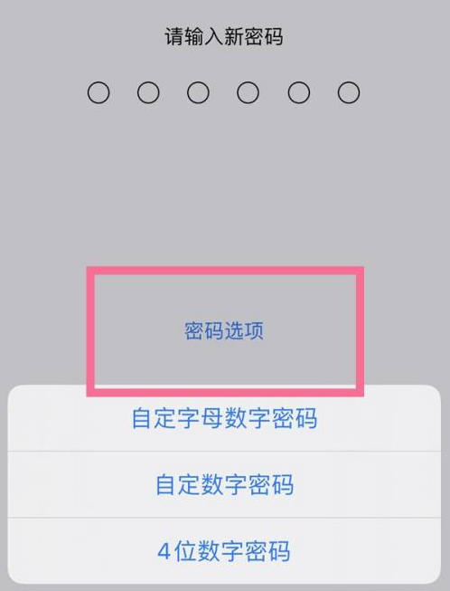 龙潭苹果14维修分享iPhone 14plus设置密码的方法 