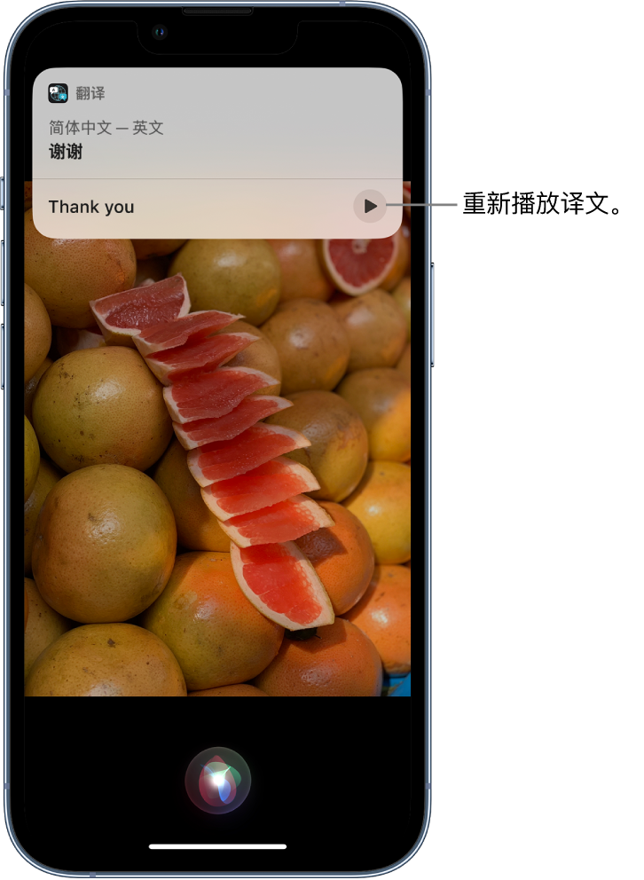 龙潭苹果14维修分享 iPhone 14 机型中使用 Siri：了解 Siri 能帮你做什么 