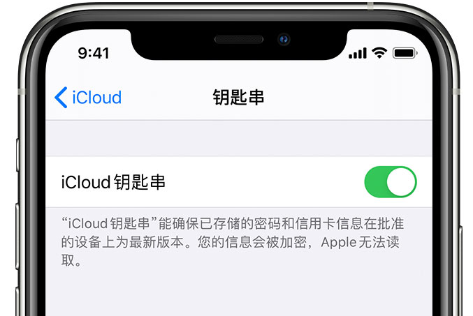 龙潭苹果手机维修分享在 iPhone 上开启 iCloud 钥匙串之后会储存哪些信息 