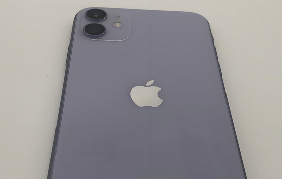 龙潭苹果11系统维修分享iPhone11手机系统崩溃无法开机如何解决 